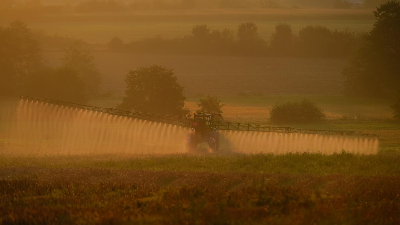 Glyphosat : Manipulierte Monsanto die Forschung zu Glyphosat?