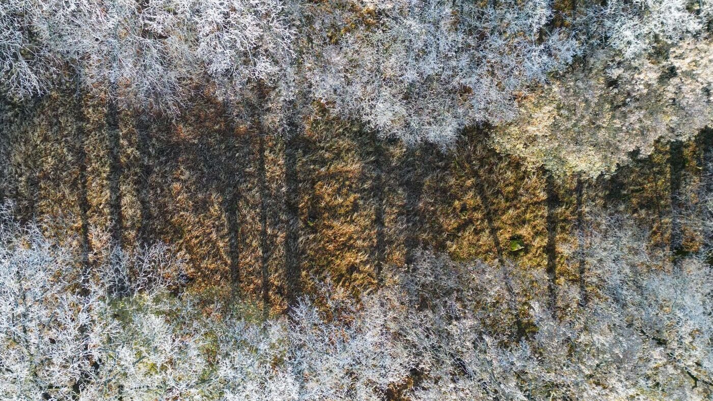 Sonnenreiches Wetterjahr für Brandenburg endet