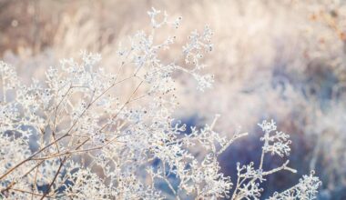 Cozy Crime in Nürnberg und vieles mehr