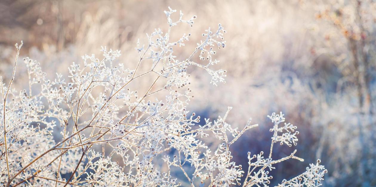 Cozy Crime in Nürnberg und vieles mehr
