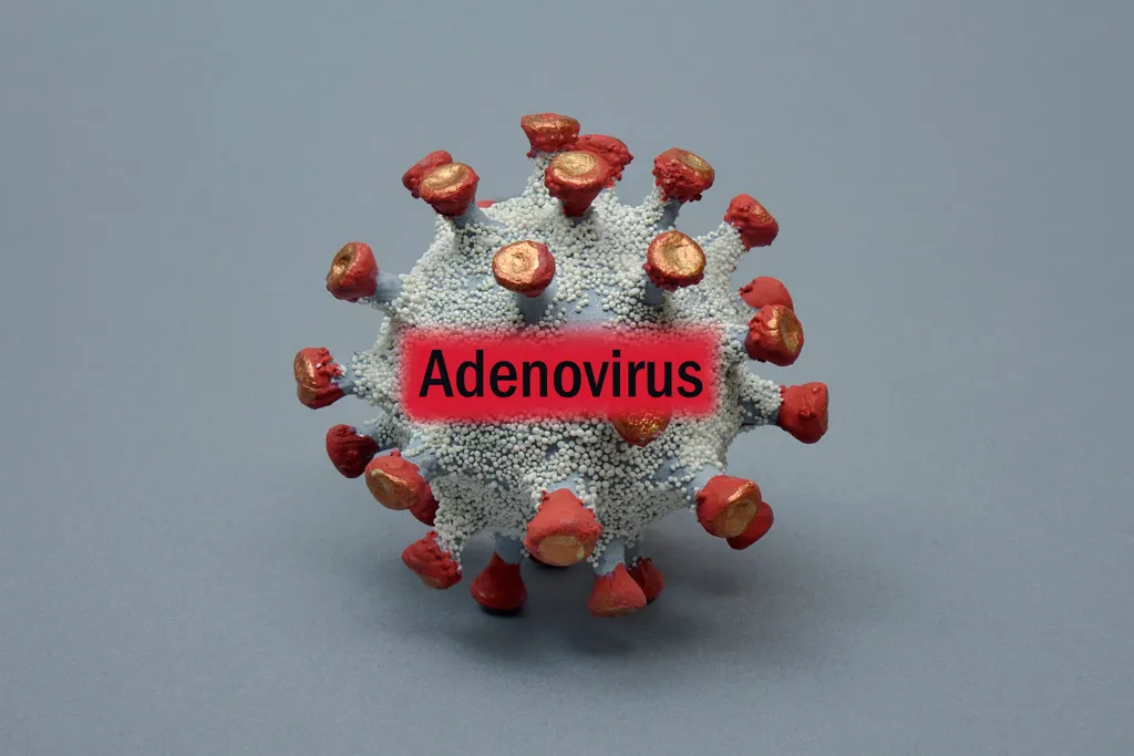 An diesen Symptomen erkennst du das Adenovirus