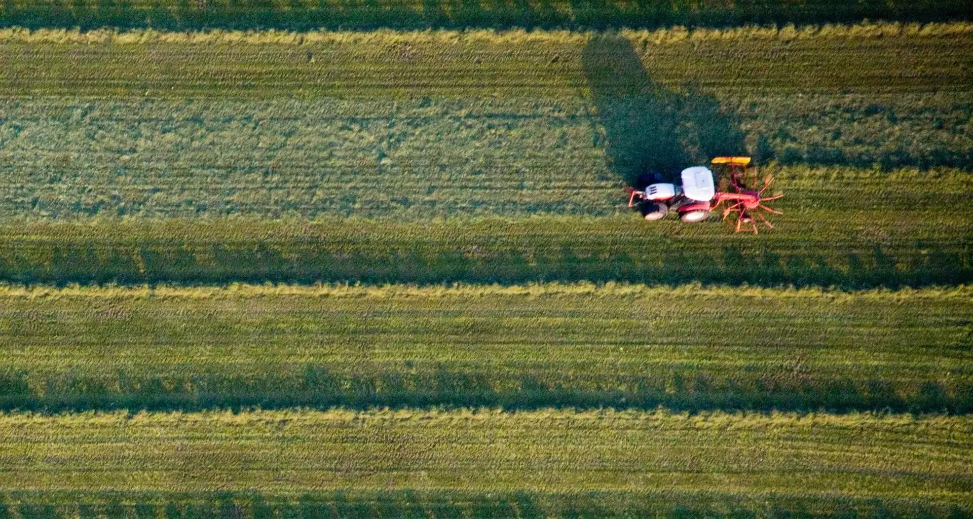 Wikipedia für die Landwirtschaft: HAW Kiel startet Wissensportal