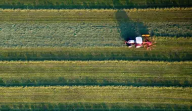 Wikipedia für die Landwirtschaft: HAW Kiel startet Wissensportal