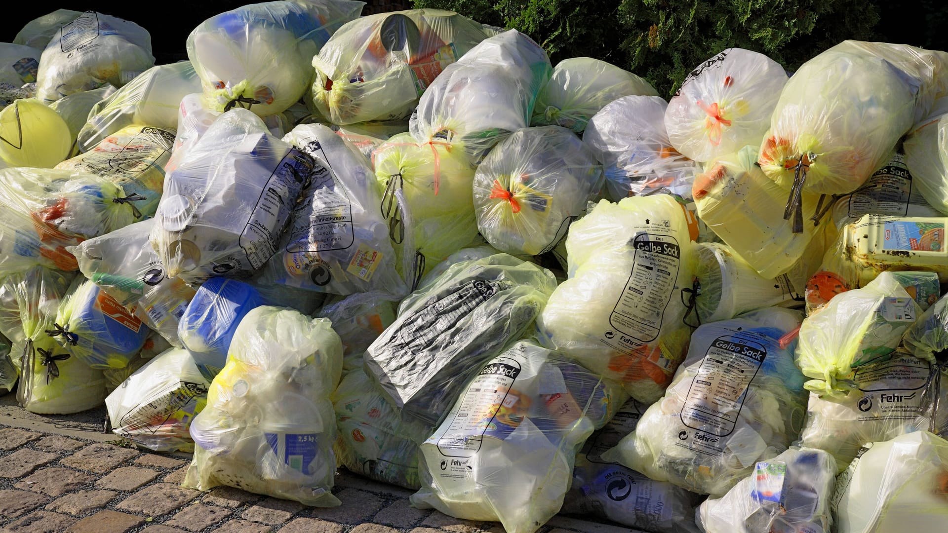 imago images 144010843