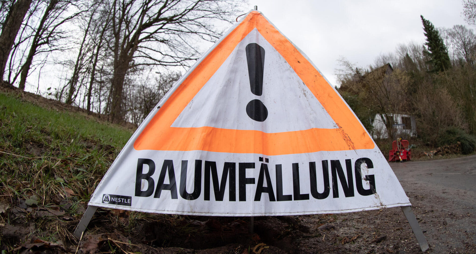 Wo in Chemnitz derzeit Bäume gefällt werden