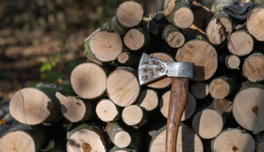 Das geht am Wochenende in Chemnitz