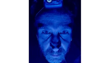 Schattenspiel in Augustusburg