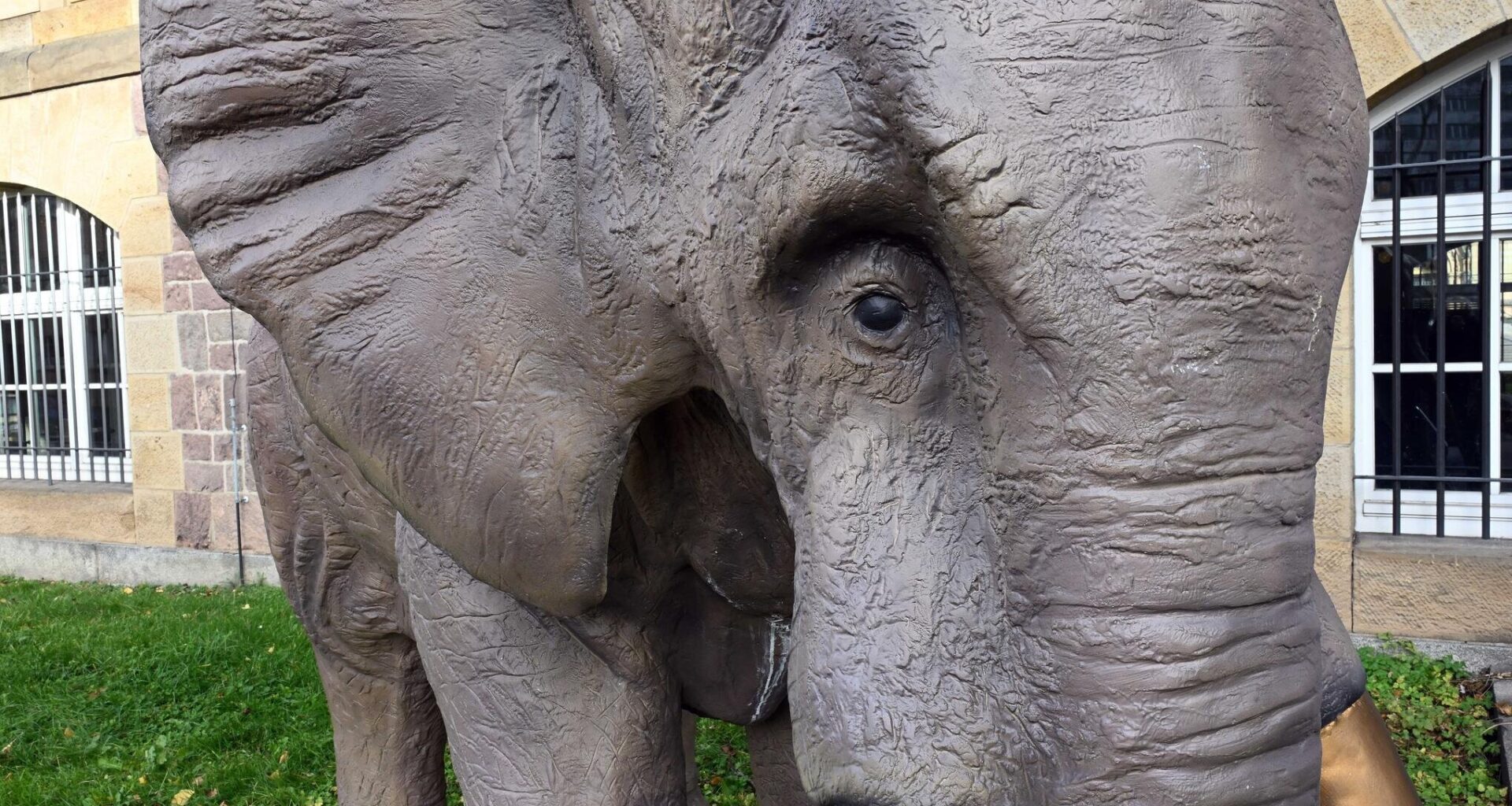 Kunstsammlungen Chemnitz zeigen Frank Maibier