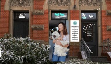 Neueröffnung in Chemnitz für den besten Freund des Menschen – den Hund