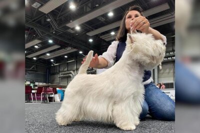 Neueröffnung in Chemnitz für den besten Freund des Menschen – den Hund - Seit 2022 ist die Gründerin Mitglied im Deutschen Terrier Club und der Ortsgruppe Chemnitz.