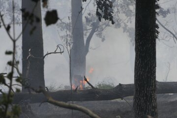 Waldbrand stellt Grimma auf den Prüfstand - Waldbrandszenario in Grimma.