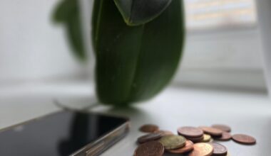 Von Kleingeld bis Smartphone: Einbrecher in Chemnitz unterwegs