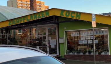 Kommentar zur Schließung von Zierpflanzen Koch in Hohenstein-Ernstthal: Ein wenig Dolce Vita