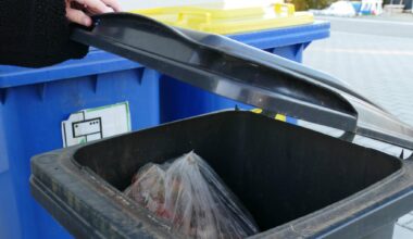 Unbekannte brennen in Chemnitz Mülltonnen ab