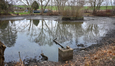 Teich in Wittgensdorf soll verschönert werden