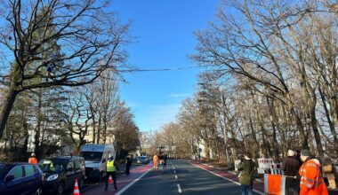 Sicher über die Straße: Nürnbergs erste Eichhörnchenbrücke