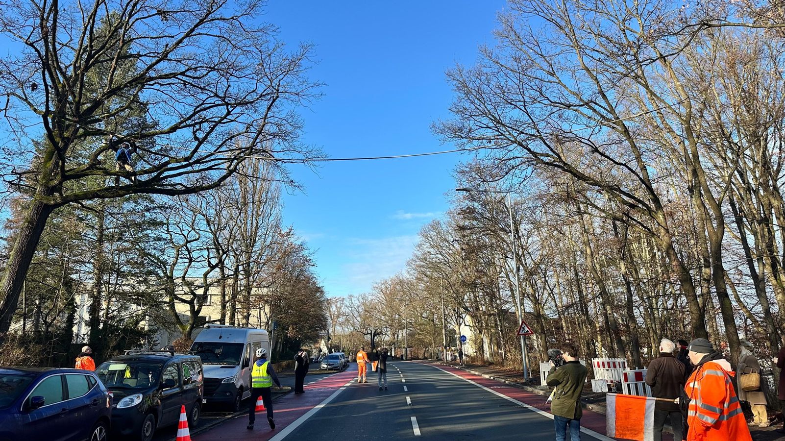 Sicher über die Straße: Nürnbergs erste Eichhörnchenbrücke