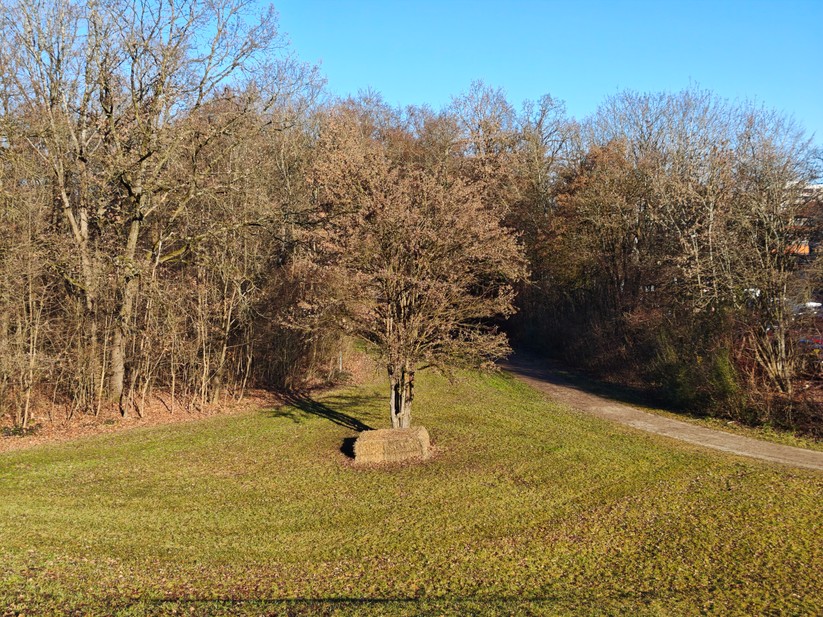 Poco F8 Pro - Originalaufnahmen 