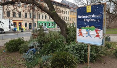 Weihnachtsbaum-Entsorgung in Dresden: So funktioniert’s