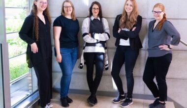 Organschäden nach Mangeldurchblutung: Förderung für Zelltod-Forschung verlängert