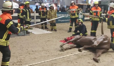 Die Freiwillige Feuerwehr Moor demonstrierte auf der Pferdemesse in Hannover die Rettung von Großtieren. Foto: Schmerling