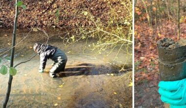 Hitzestress im Flussbett: Studie untersucht Fluss-Mikrobiom