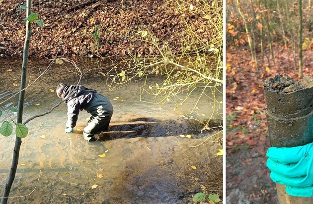 Hitzestress im Flussbett: Studie untersucht Fluss-Mikrobiom