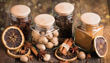 Die Naspa Wiesbaden unterstützt mit der Aktion Weihnachtssterne Menschen in Not.