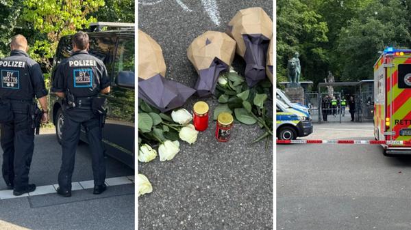 Nach Kritik an Kommunikation während Pavian-Tötungen: Jetzt äußert sich der Tiergarten ausführlich