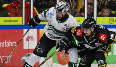 25. Spieltag: Bietigheim und Rekordjäger McNeely stoppen Tabellenführer