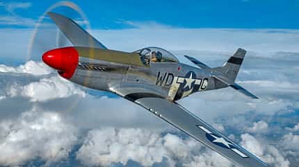 North American P-51D-25NA Blakeslee-Markierung