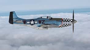 North American P-51 Mustang "Frances Dell" Air to Air 