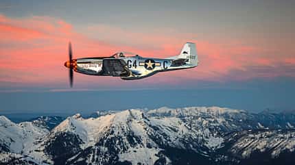 North American P-51 "Nooky Booky" im Flug