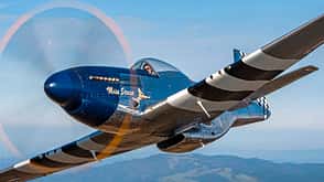 North American P-51D "Miss Stress" im Flug