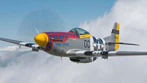 P-51D Mustang "Damn Yankee" im Flug