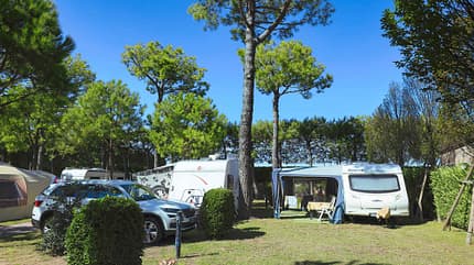 f_Bestenliste_Hundefrei_Enzo_Stella