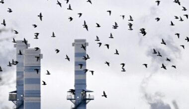 Chemieindustrie in Frankfurt am Main