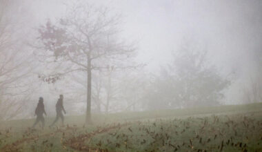 Nebelwarnung für Mannheim