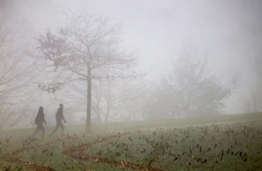 Nebelwarnung für Mannheim