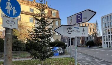 Wie Mannheim-Neuostheim doch noch einen Weihnachtsbaum bekam