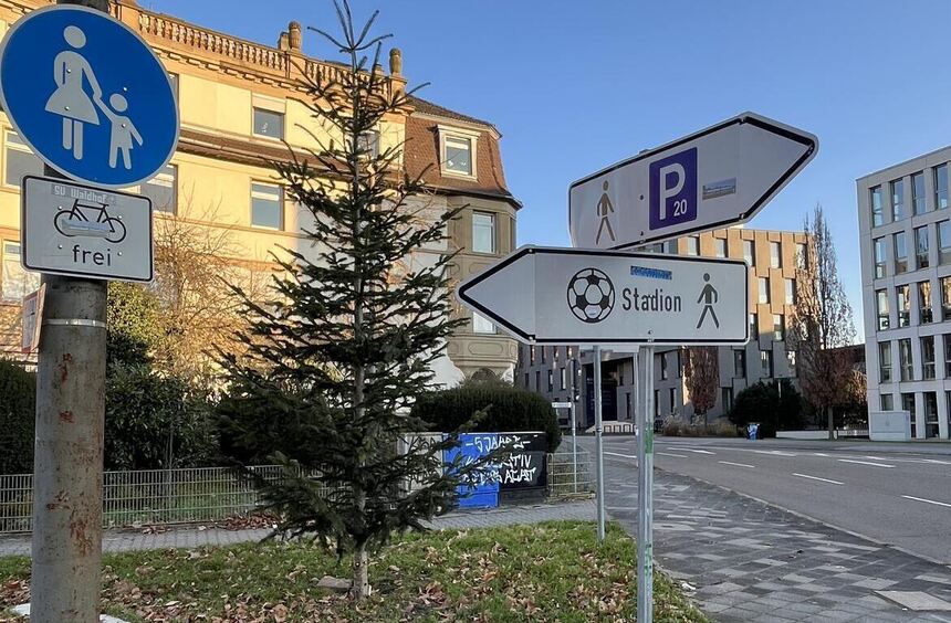 Wie Mannheim-Neuostheim doch noch einen Weihnachtsbaum bekam