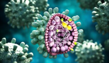 HIV-Kontrolle ohne Medikamente? Neue Studie macht Hoffnung