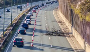 Stockender Verkehr stadtauswärts: Baumpflegearbeiten am Bielefelder Ostwestfalendamm | Nachrichten aus Ostwestfalen-Lippe