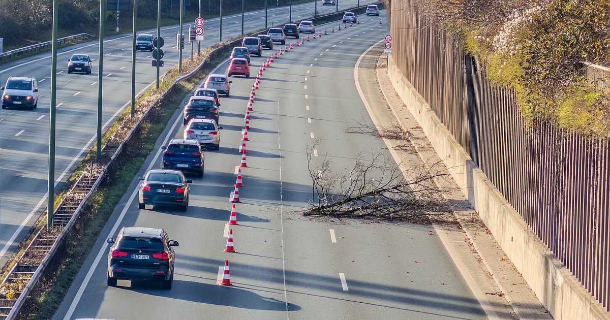 Stockender Verkehr stadtauswärts: Baumpflegearbeiten am Bielefelder Ostwestfalendamm | Nachrichten aus Ostwestfalen-Lippe