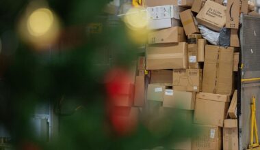 DHL-Betrugsmasche: So nutzen Betrüger das Paketchaos in der Vorweihnachtszeit