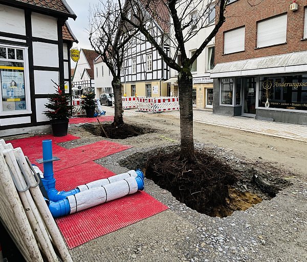 Die empfindlichen Erdarbeiten rund um die japanischen Kirschbäume wurden von Hand sowie mithilfe eines Saugbaggers durchgeführt. - © Nicole Donath