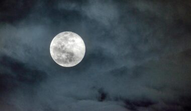 Veranstaltungstipps für Bielefeld: Mondwanderung, After-Work-Konzert und ein Zirkus