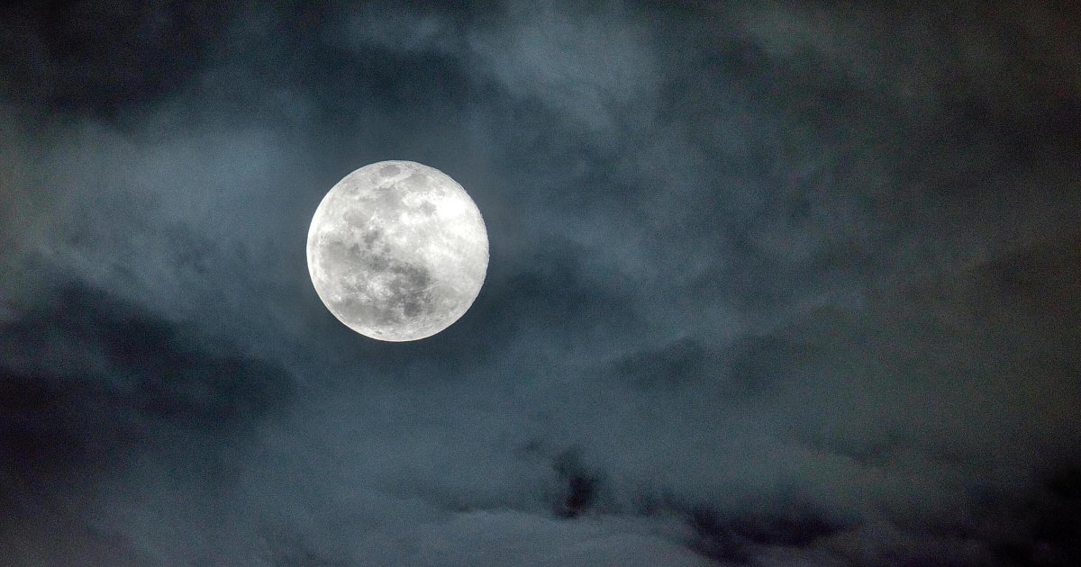 Veranstaltungstipps für Bielefeld: Mondwanderung, After-Work-Konzert und ein Zirkus