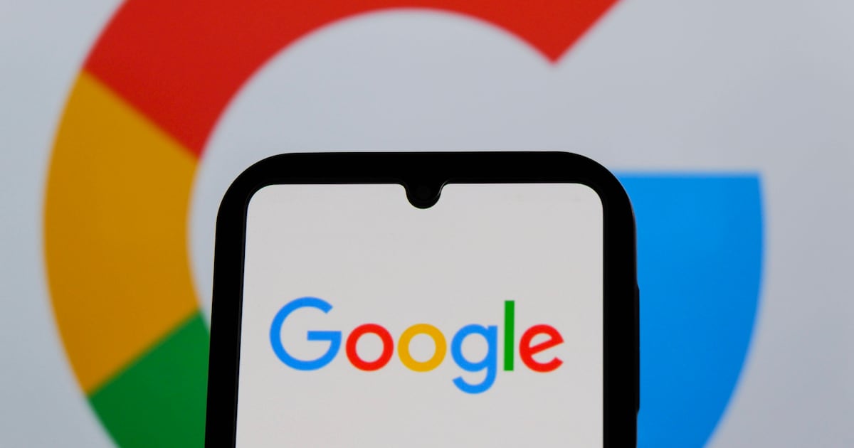 "Dürfen Pferde Gurken essen?": Diese Fragen waren 2025 bei Google im Trend