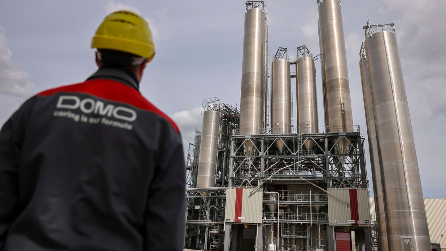 Betroffen von der Insolvenz sind insgesamt 585 Mitarbeiter in Leuna in Sachsen-Anhalt und Premnitz in Brandenburg. (Archivbild)